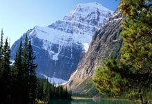 央视CCTV5今天直播什么？最新赛事与节目安排全解析